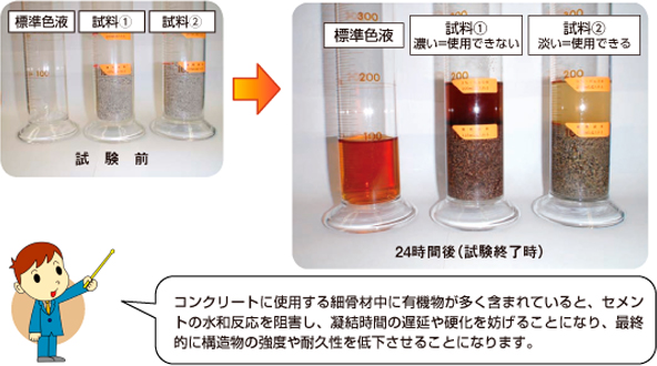 コンクリート中の有機物