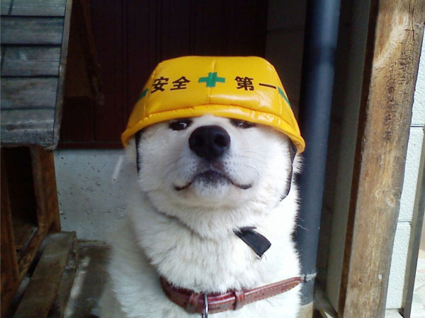 安全第一