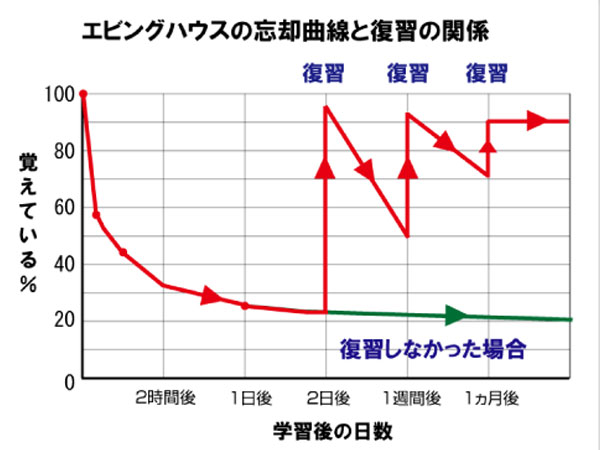 忘却曲線