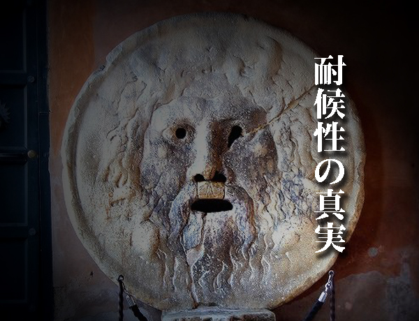 耐候性