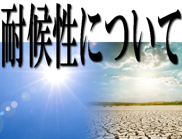 耐候性