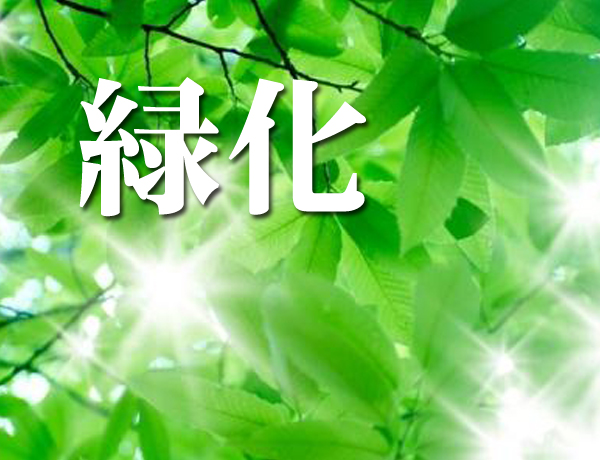 植生工