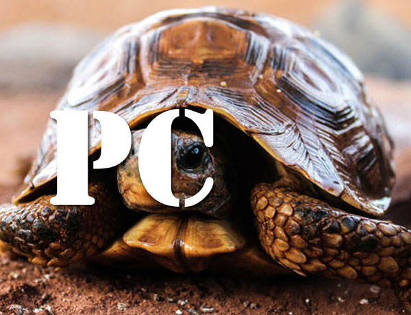 PC