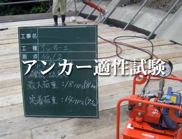 適性試験