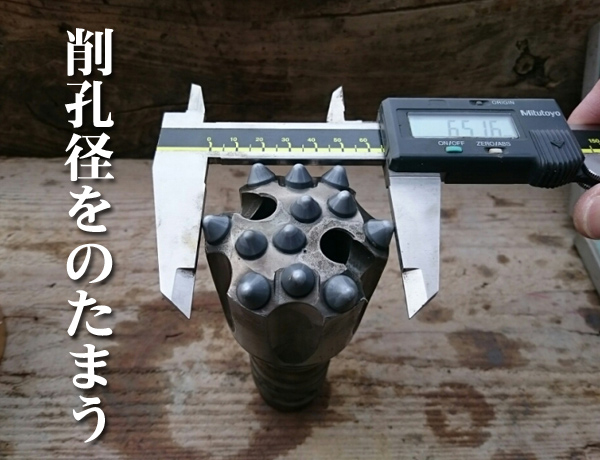 ビット系