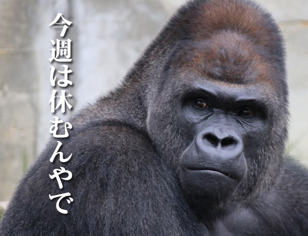 休息_エンタ