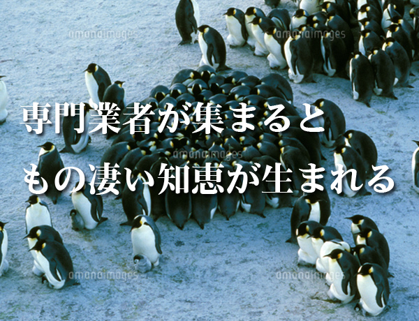 のり面業者