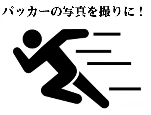 エンタがパッカーの写真撮影でダッシュ