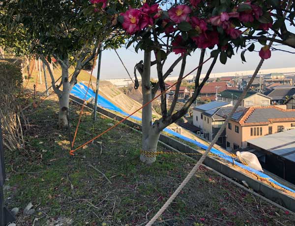 のり面ロープの段取り