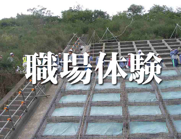 現場体験