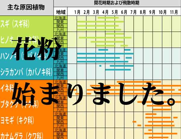 花粉始まりました。
