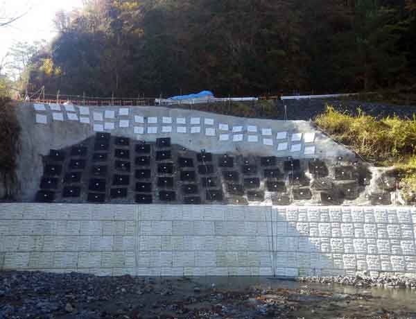 グリーンパネル設置完了全景