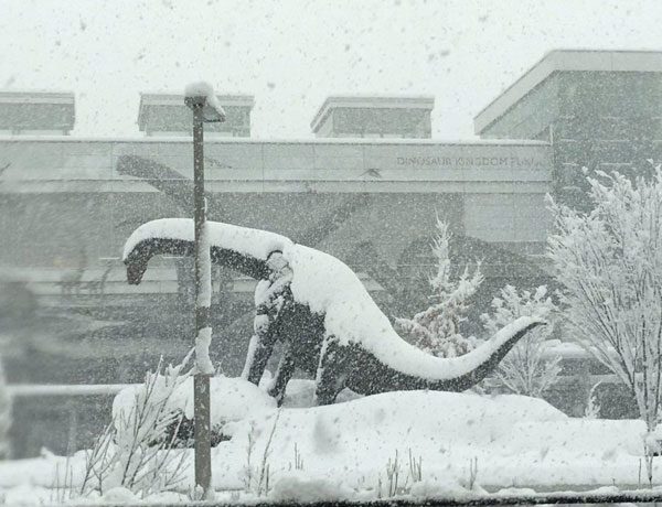 2,018年福井豪雪