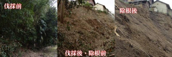 のり面清掃完了