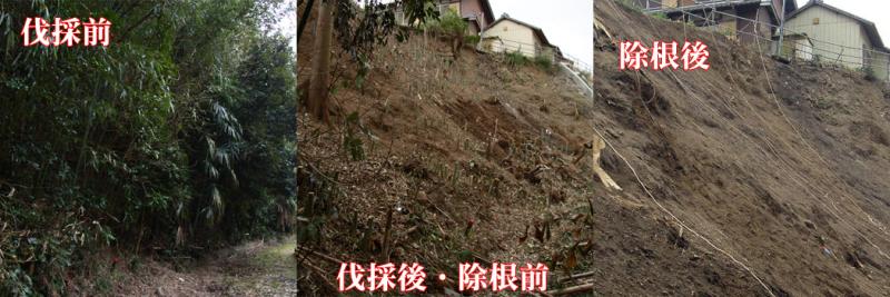 のり面清掃完了