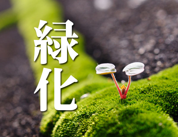 緑化工法