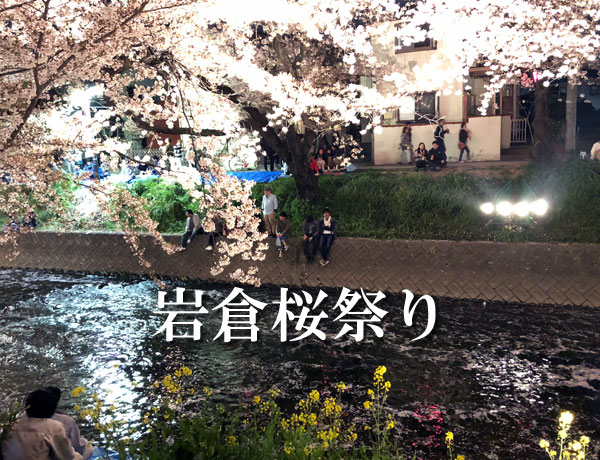 岩倉桜祭り　五条川
