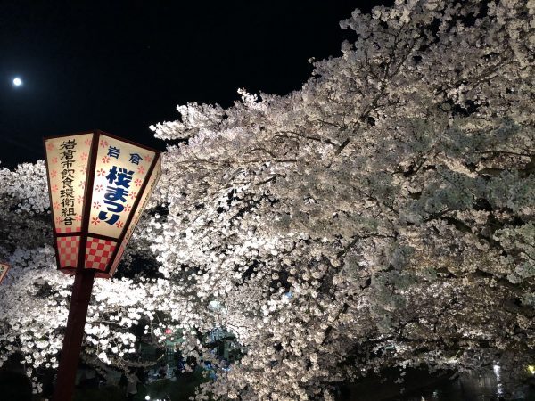 岩倉桜祭り