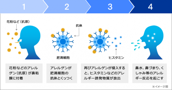 花粉症の症状