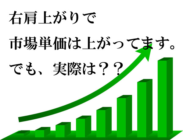 市場単価は右肩上がり