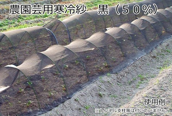 寒冷紗