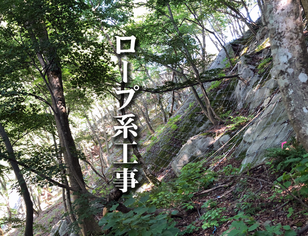 ロープ系工事