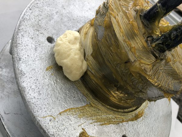 頭部処理