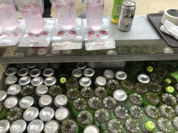 岩倉桜祭り