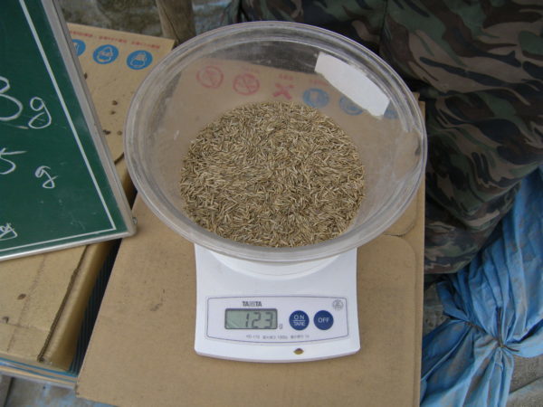 植生工　バッチ管理