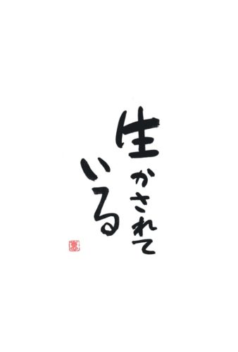 生かされる