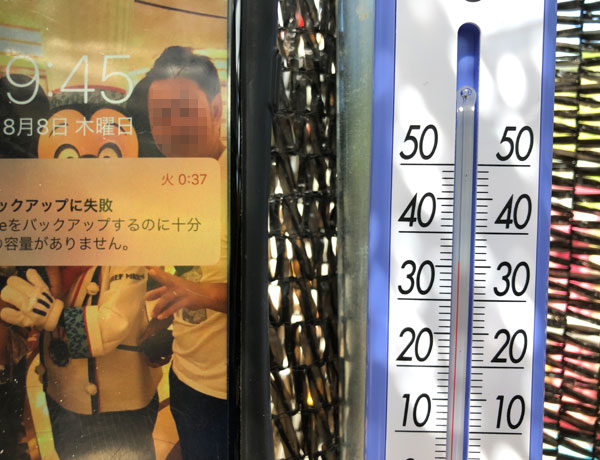 現場の気温　寒冷紗