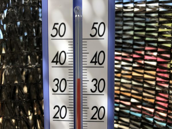 現場の気温　寒冷紗