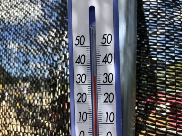 現場の気温　寒冷紗