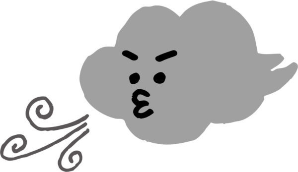風