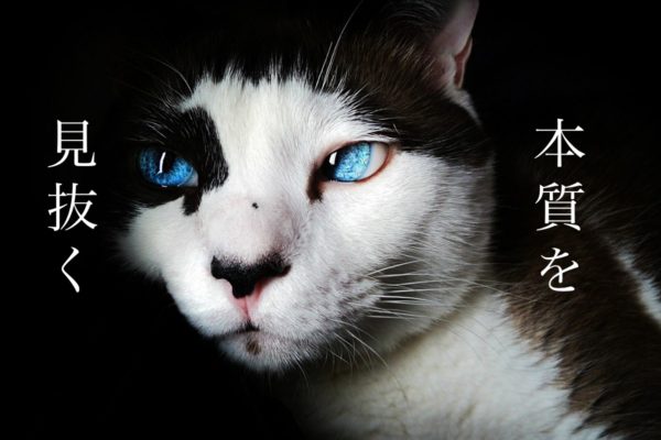 本質