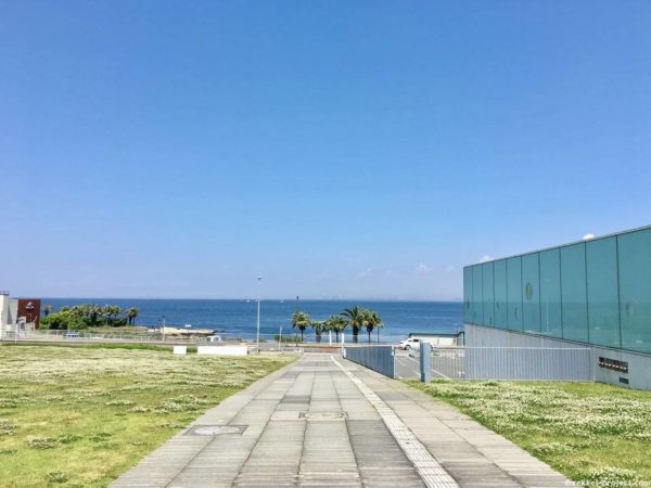 全体を見る