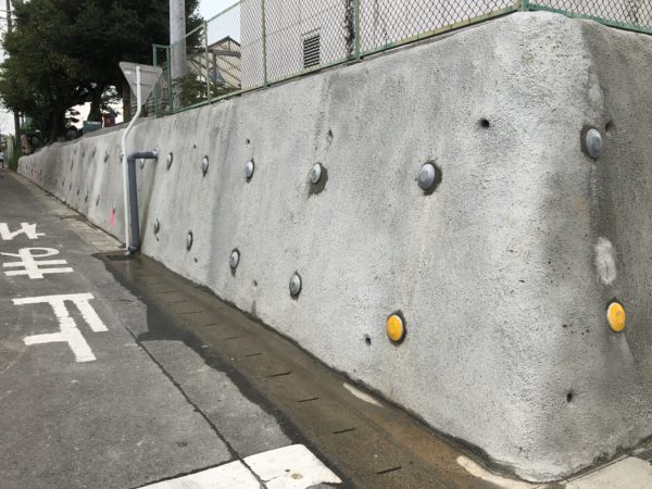 フラットキャップ　全景
