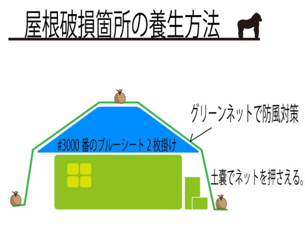 屋根破損対策　ネット