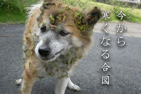寒くなる合図