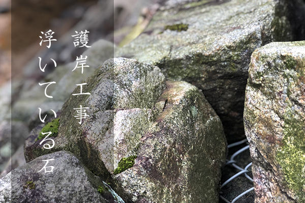 浮いている石