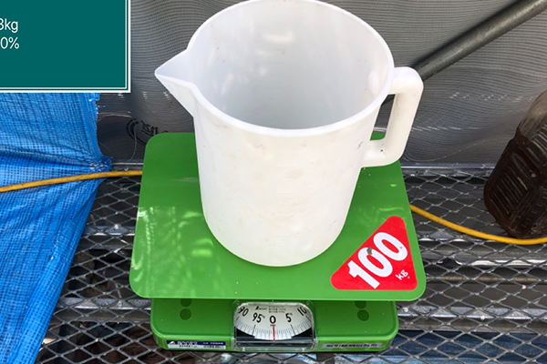 ほうさく　100Kg
