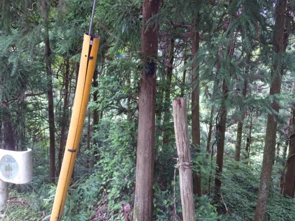 トレイルカメラ　設置