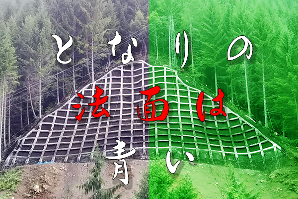 隣の法面は青い