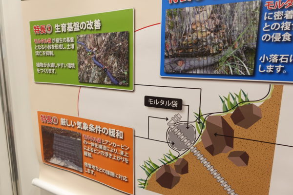 日本植生　キョウジンガー