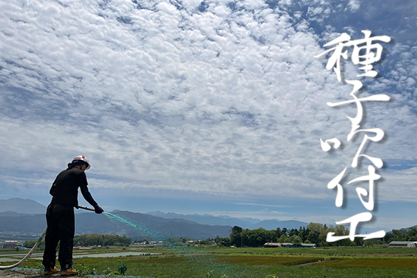 種子吹付工