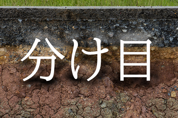 分け目