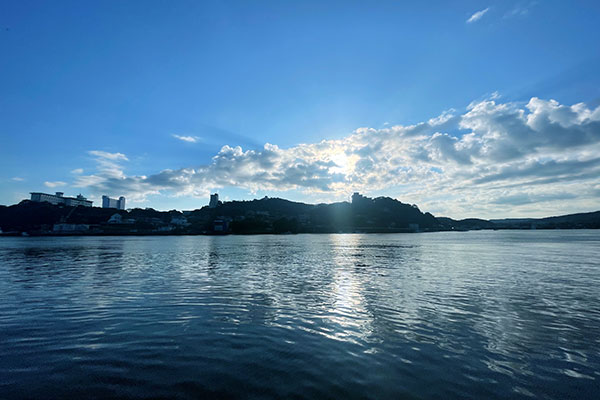 鳥羽　海