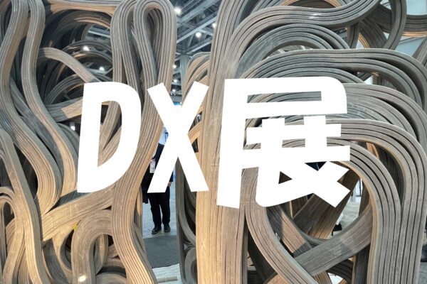 DX展