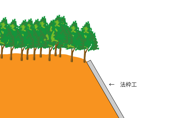 法枠の立木