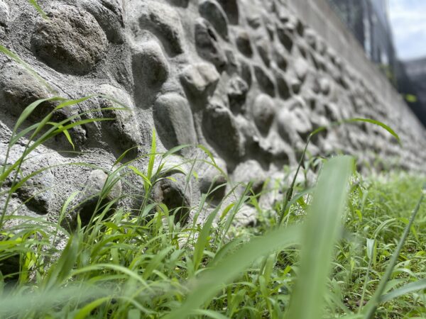 石垣石積補修